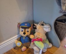 Cuddly Toys