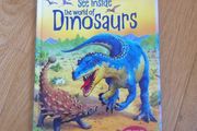 See Inside The World Of Dinosaurs An Usborne Flap Book