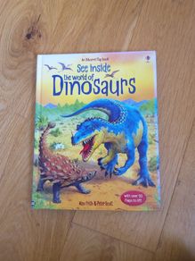See Inside The World Of Dinosaurs An Usborne Flap Book