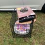 Dog Crate bundle. Small to medium size dog. Image 2