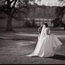 Wedding Image 4