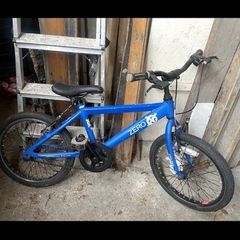 kids raleigh bike