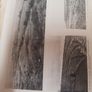Antiques of the Irish Countryside 1942 Sean P.O Riordan Cork University Press Image 4