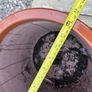 Set of 2 garden pots Image 4