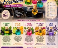 Car air fresheners