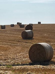 Straw