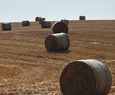 Straw