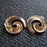 Earrings Image 2