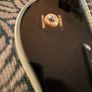 Harley Benton SC-500 BK Vintage Series Black / Gold Image 6