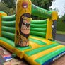 Bouncing Castle Image 2