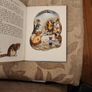Aesops Fables Illustrated By Helen Haywood. Beautiful 1957. Illustrated Hardback In Good Condition. 35. Image 10