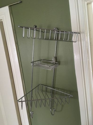 shower tidy