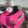 Toys Image 10