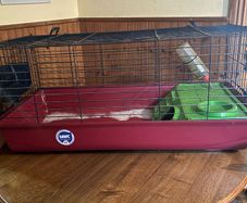 Rabbit/tortoise cage