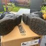 2 paid of safety shoes uk10 Image 8