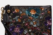 Coach x Rodarte clutch