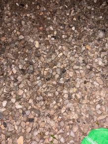 Stones / Pebbles for garden