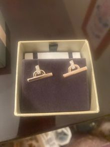 Earrings BNIB