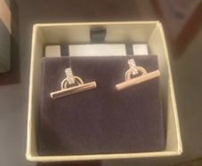 Earrings BNIB