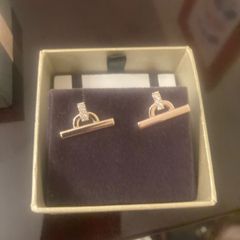 Earrings BNIB