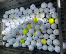 50 used mixed Titleist practice grade golf balls