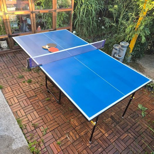 Debut mid-size foldable table tennis ping-pong table