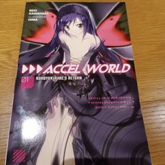 Accel World vol 1-3