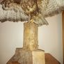 BUZZARD bird of pray Image 4