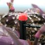 300Pcs Automatic Drip Irrigation Kit Garden Watering System Adjustable Micro Irrigation Dripper Sprinklers, Tee Pipes, Hose Support Stakes for 4/7mm Hose Irrigation System Image 3