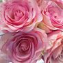 artificial flowers Image 2