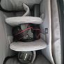 canon eos r100 with brand new travel bag Image 3