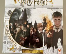 Harry Potter a year at Hogwarts
