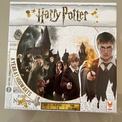 Harry Potter a year at Hogwarts