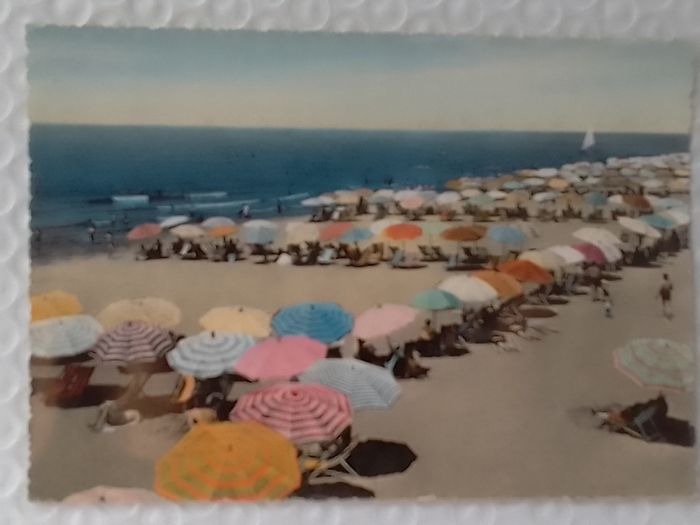 Postcard