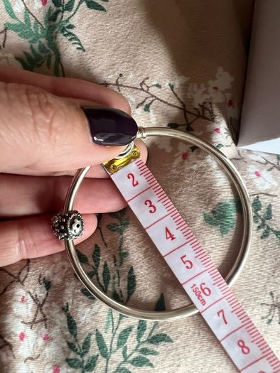 Pandora bracelet