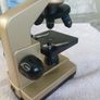 Microscope Image 2