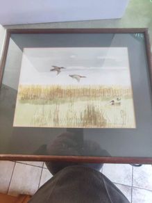 Vintage Flying Mallard Ducks Framed Signed Print.