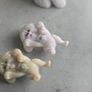 Bundle of Mixed Vintage Toy Pets Pupz Polly Pocket Mixed 90s 2007 Image 5