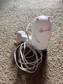 lamp
