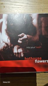 Hothouse Flowers - Into Your Heart.