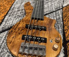 Tiny Bass - 5 string