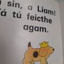Vintage Gaeilge pop up book BRAN Image 8