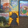 Children's Book Bundle (15+ Books!) - Minecraft, Julius Zebra & More Image 4
