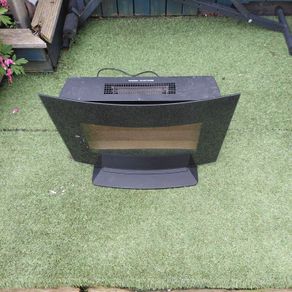 electric fire insert