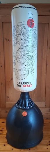 Free standing punching bag