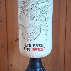 Free standing punching bag