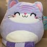 Squishmallows Bundle Image 7