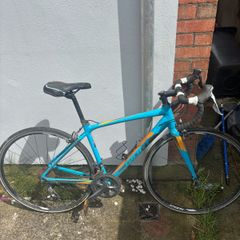 Giant Bike Frame