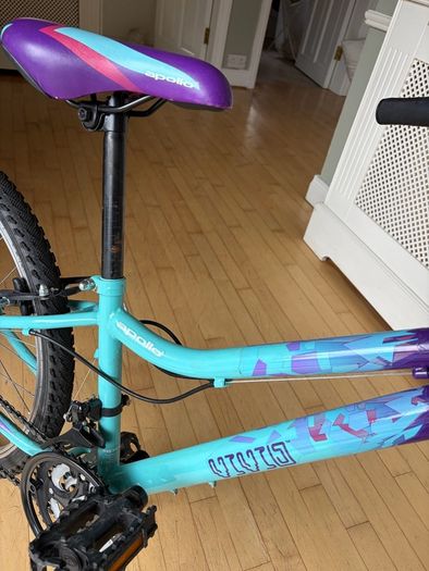 Apollo vivid junior mountain bike.