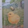 5 ladybird tales Image 7